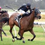 Promising 3YO Filly Ballet Suite on Classic Course